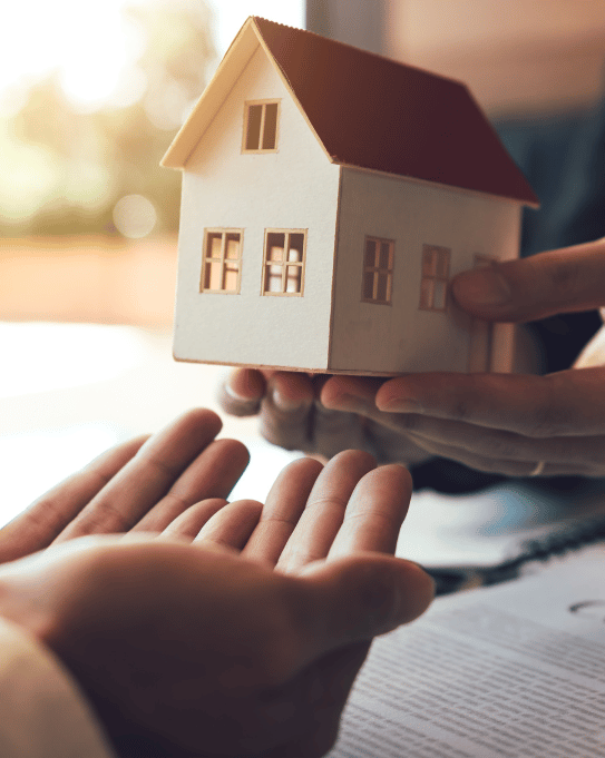 consulenza immobiliare